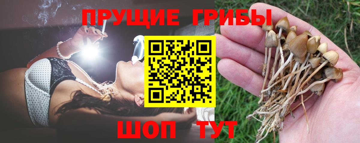 Псилоцибиновые грибы Cubensis  Вход с VPN  где можно купить наркотик  Железногорск 